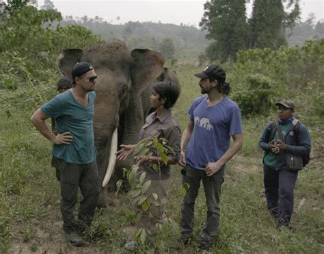  Before The Flood:  A Chilling Look At Climate Change With Leonardo DiCaprio!